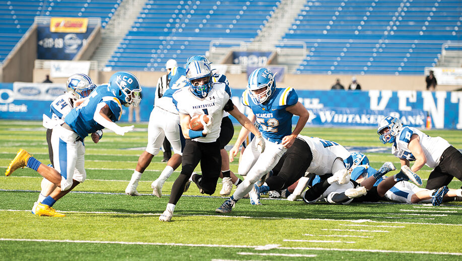 12-21 paint harris phelps run.jpg